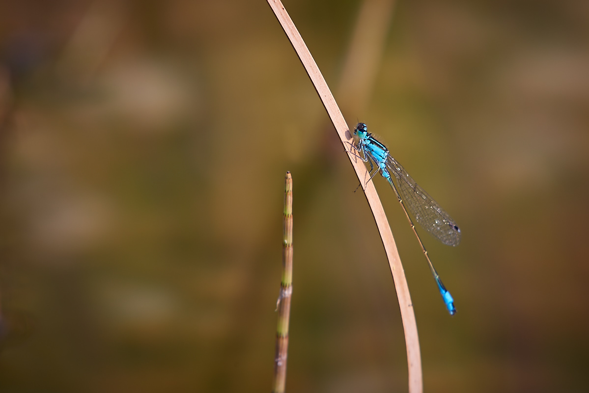20180805_185347.jpg