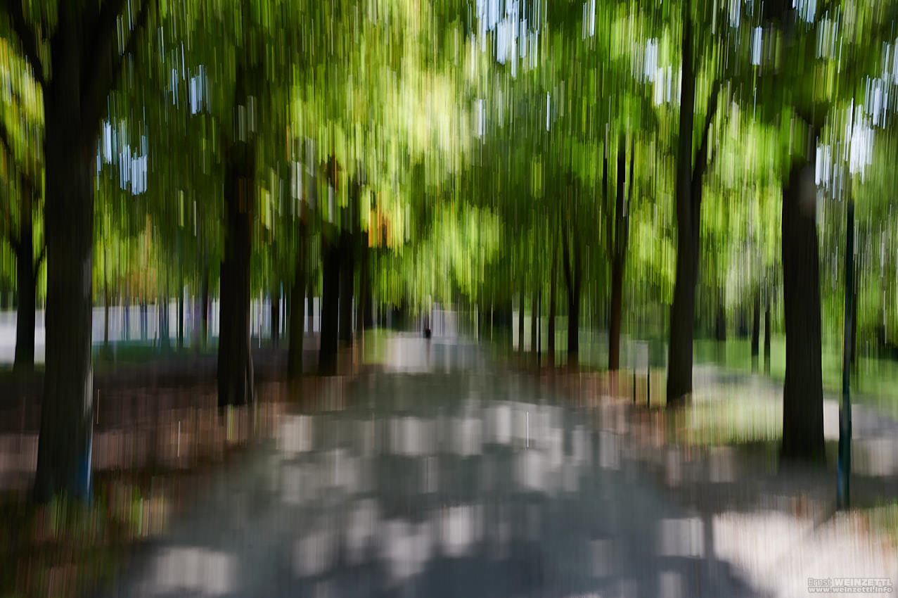 20190922-1138-_EW62896.jpg