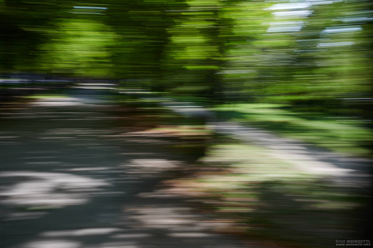 20190922-1139-_EW62906.jpg