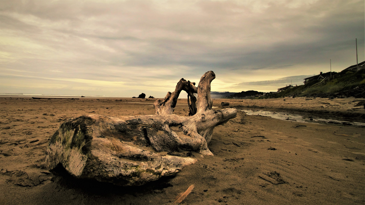 DSC_1026.jpg