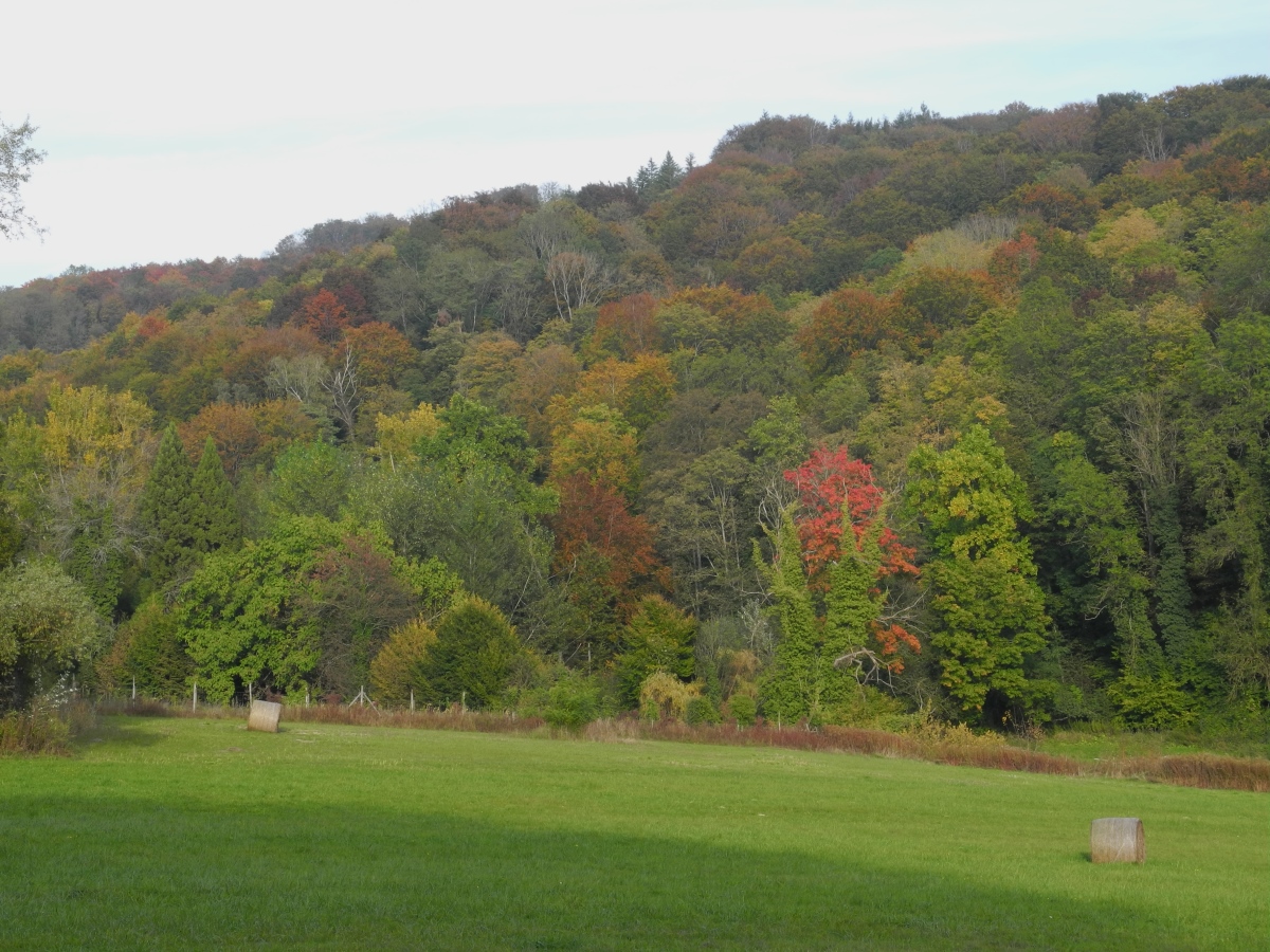 DSCN0422NC.jpg