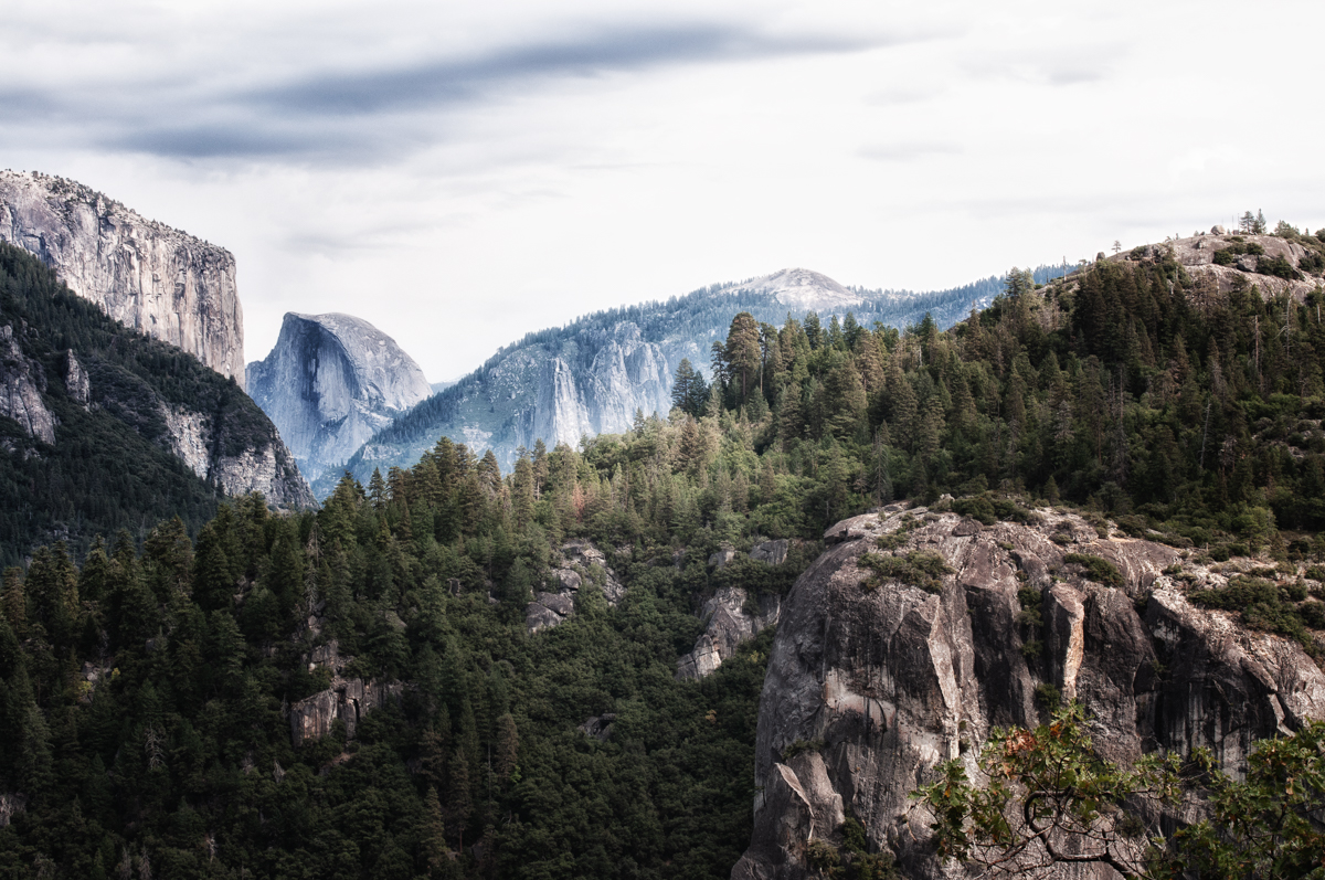Half Dome-2.jpg
