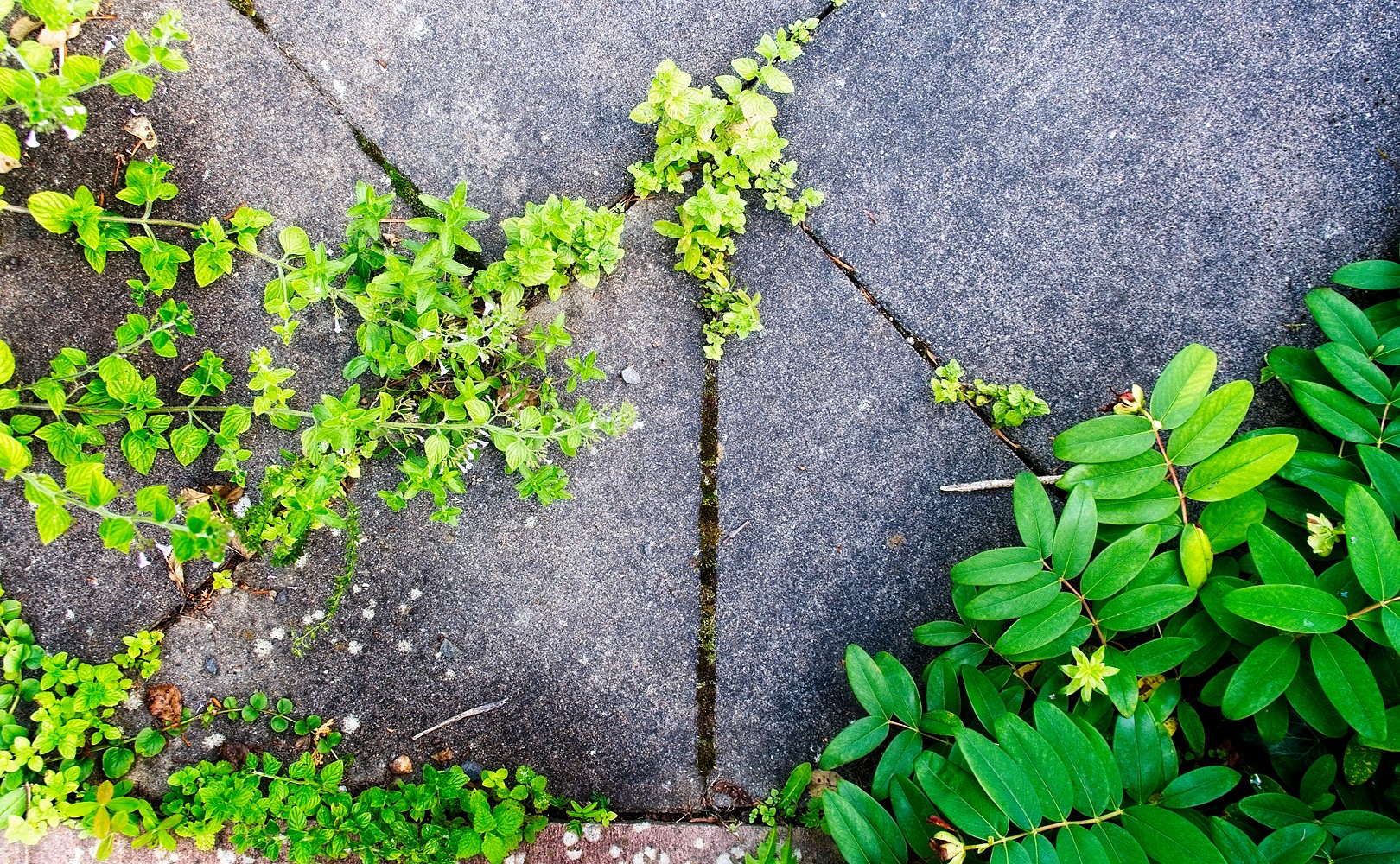 VG_500_0128_on1_landscape.jpg