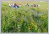 VGO_9591_1000.jpg VGO_9591_1000.jpg