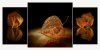 Margit_Triptychon_019.jpg Margit_Triptychon_019.jpg