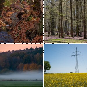 Feld, Wald und Wiesen