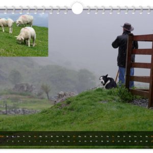 Irlandkalender_09