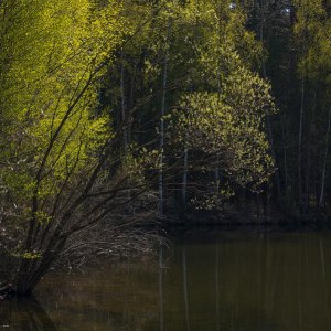 Frühlingslicht