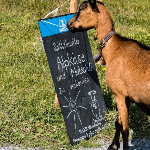 Andermatt-Kandersteg-Wildstrubel-0136.jpg