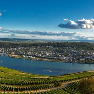 Rhein_panorama.jpg