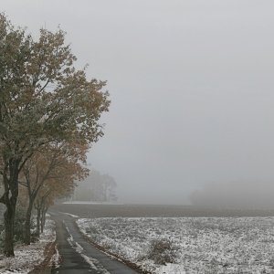 Nebel -Winter- Morgen.jpg