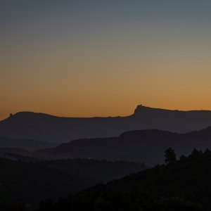 IMG_0157.jpg