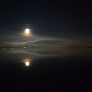 IMG_0841.jpg