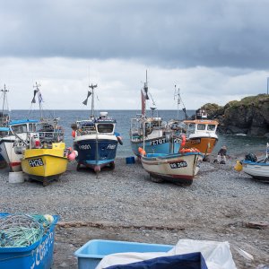 Cadgwith.jpg