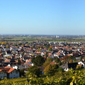 panorama_schriesheim_800.jpg