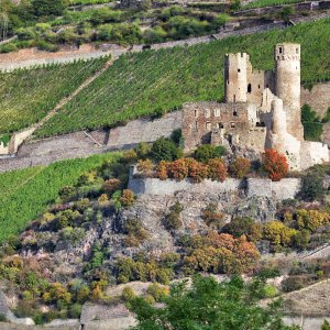 Burg Ehrenfels.jpg