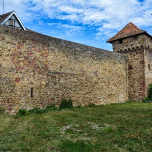 freinsheim_stadtmauer.jpg