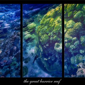the great barrier reef.jpg