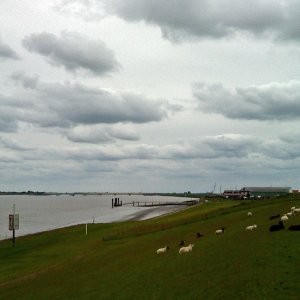 20120603_160935_nf.jpg