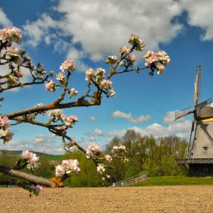 windmühle_hessenpark_1200.jpg