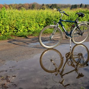 spielelung_fahrrad_pfütze.jpg