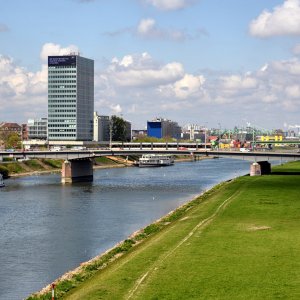 neckarwiese_mannheim_1200.jpg