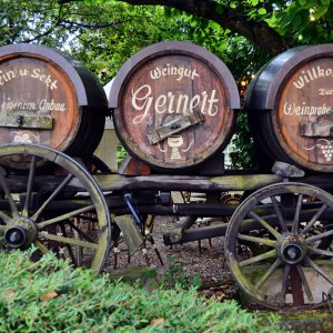 weingut_st_martin_1200.jpg