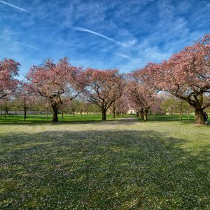 schwetzingerschlosspark_1200.jpg