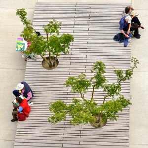landesgartenschau_landau_2015.jpg