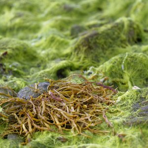 Wabi-Sabi 9.jpg