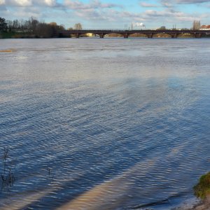 neckar_ladenburg.jpg
