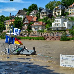 heidelberg_neckar.jpg