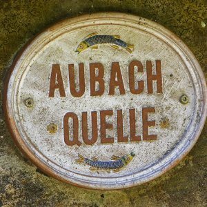 Aubach-Quelle.jpg