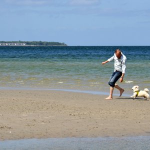 ostsee_mit_hund.jpg