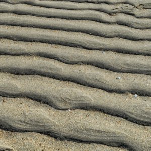 Strukturen_im_sand.jpg