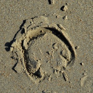spuren_im_sand.jpg