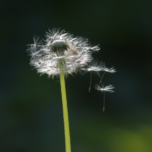 Abflug.jpg