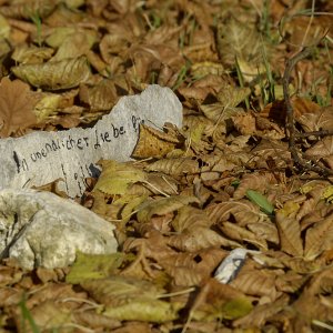 Tiergrab 001-1Erinnerung.jpg