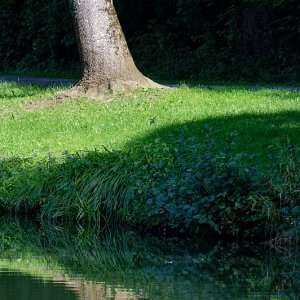 Allein am Ufer.jpg