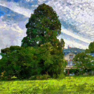 Herrmanshof_LeRoy_Digitalis_1200.jpg