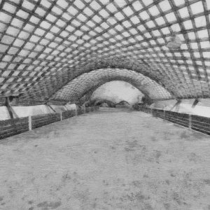 multihalle_Woodetch_1200.jpg