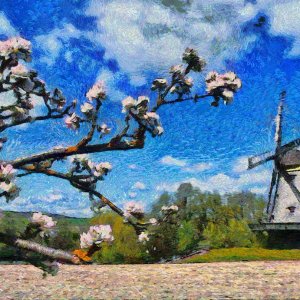 muehle_DAP_Gogh_V7_1200.jpg