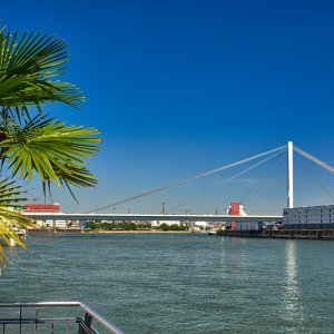 rhein_mannheim.jpg