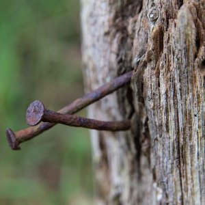 Rusty Nail(s).jpg