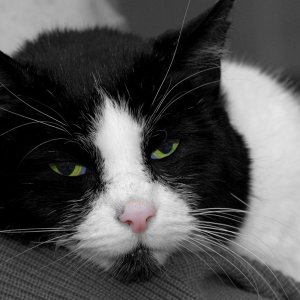 moglie_1200.jpg