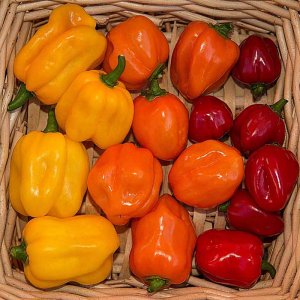 Habaneros 2.jpg