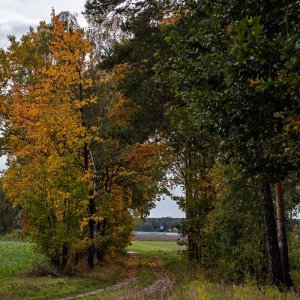 Herbstweg.jpg