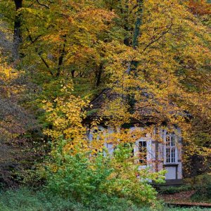 Das alte Teehaus.jpg