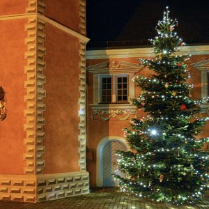 weihnachtsbaum_ladenburg_1200.jpg