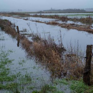 Hochwasser Seewiesen  6.jpg